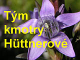 Tým kmotry Ivy Hüttnerové