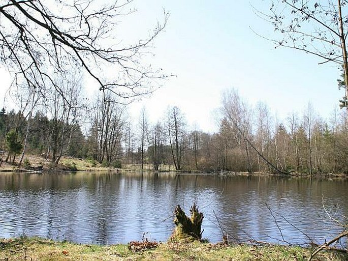 Smrčiny, U sedmi rybníků – přírodní rezervace