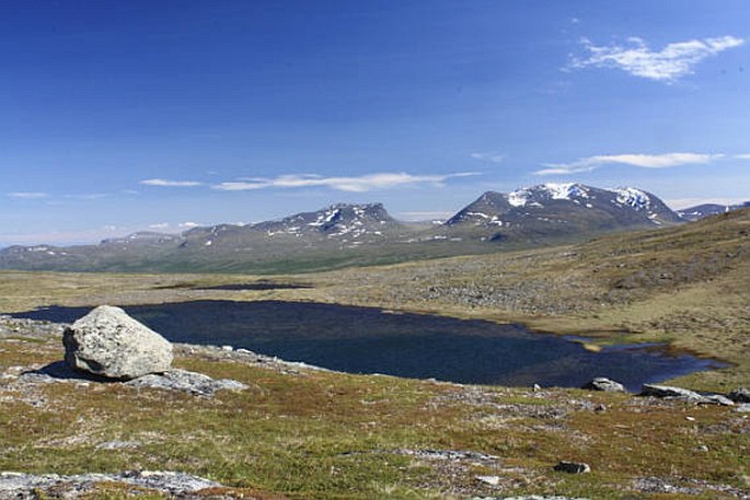 Abisko