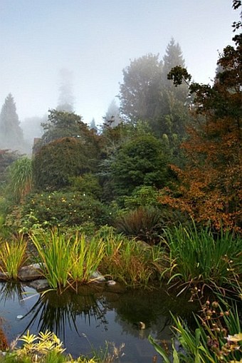 University of British Columbia Botanical Garden