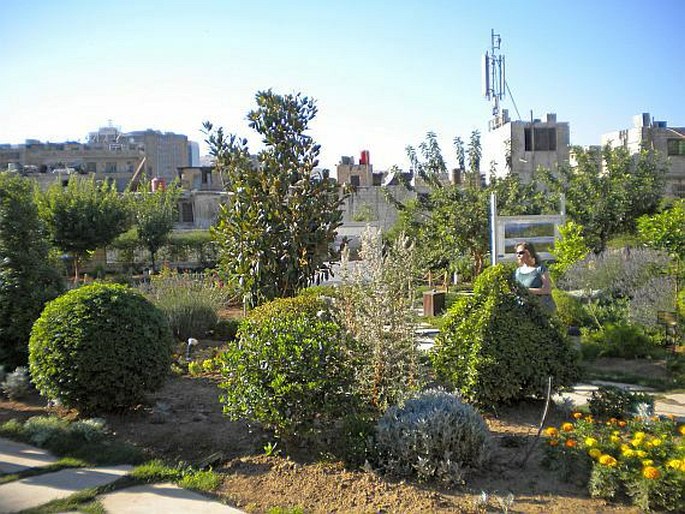 The Ecological and Botanical Garden in Damascus