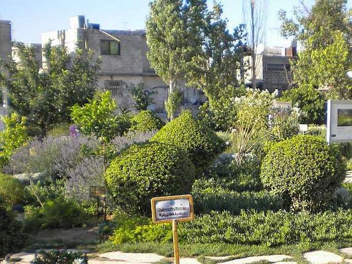 The Ecological and Botanical Garden in Damascus