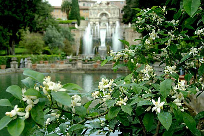 Villa d'Este