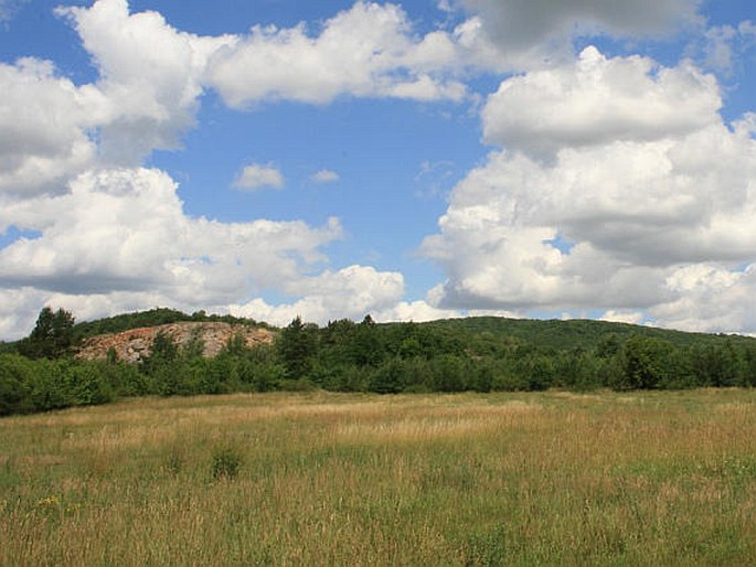 Český kras, Karlštejn, Doutnáč – národní přírodní rezervace