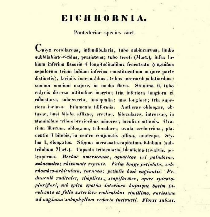 Eichhorn, Johann Albrecht Friedrich von