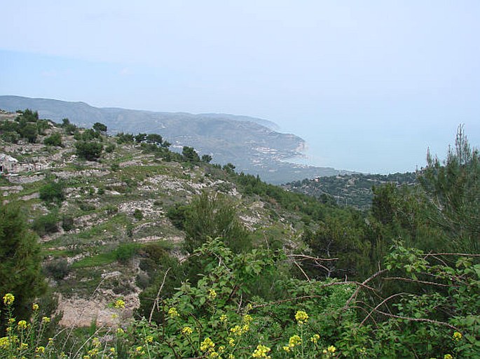 Gargano