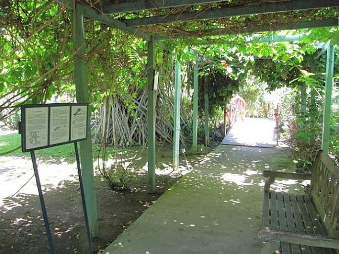 Jardin d’Eden - Réunion, Saint Gilles Les Bains