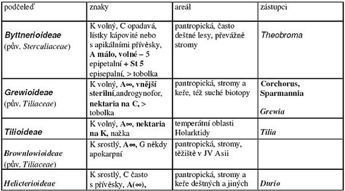 Nové pojetí čeledi Malvaceae s. latissimo