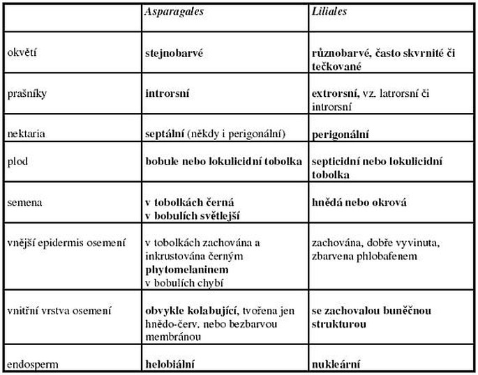 Hlavní rozlišovací znaky mezi řády Asparagales a Liliales