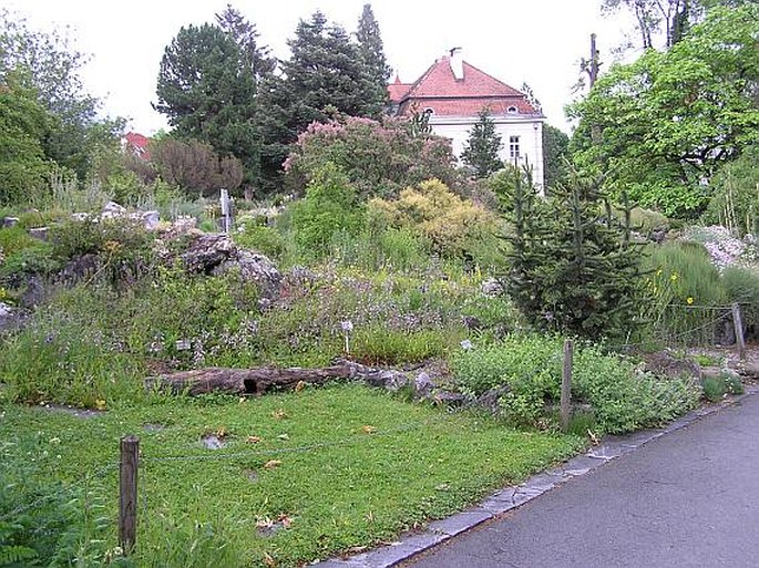 Botanischer Garten der Universität Innsbruck