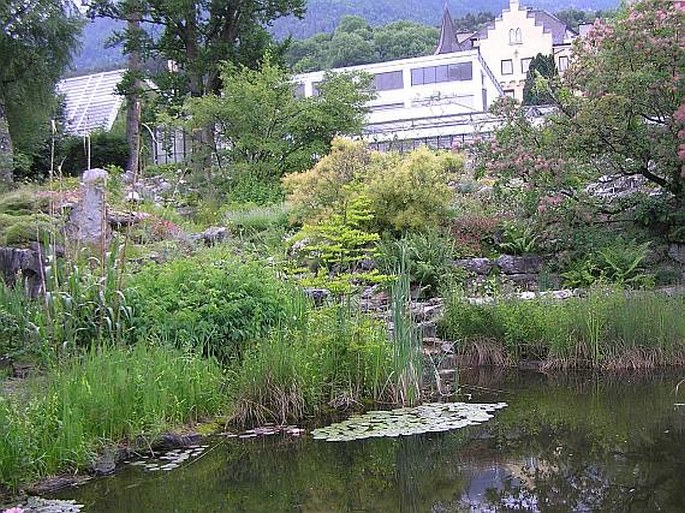 Botanischer Garten der Universität Innsbruck