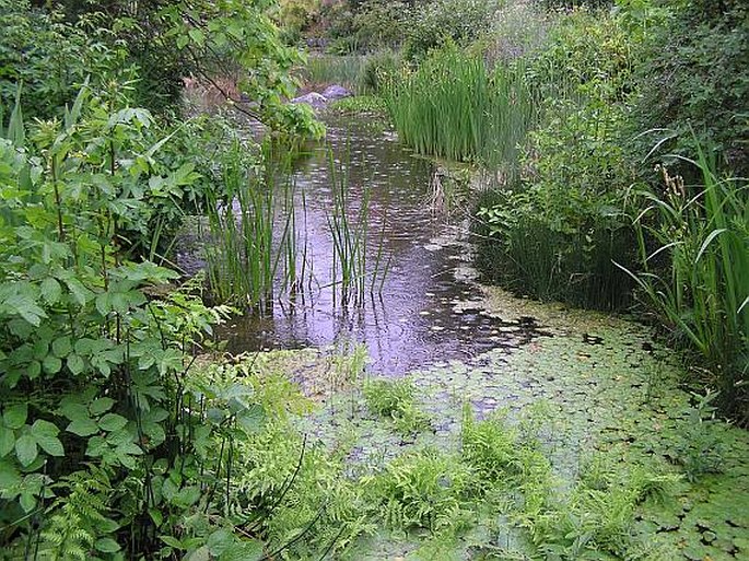 Botanischer Garten der Universität Innsbruck