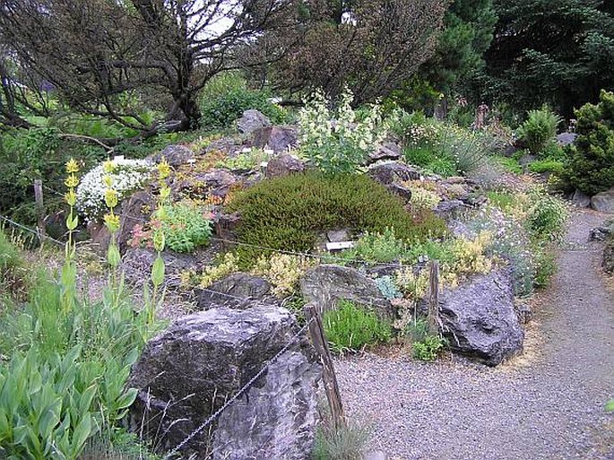 Botanischer Garten der Universität Innsbruck