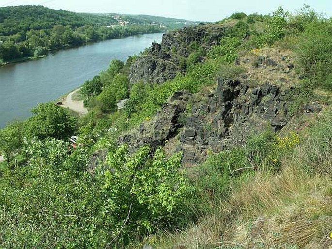 Praha, Kaňon Vltavy u Sedlce – evropsky významná lokalita (v navrhované kategorii přírodní památka, přírodní rezervace)