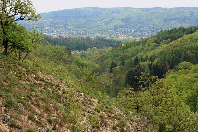 Český kras, Karlické údolí – přírodní rezervace