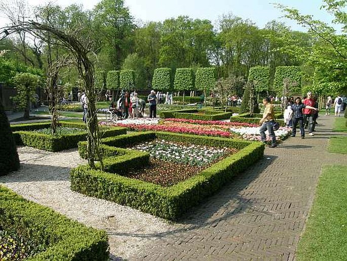 Keukenhof - Nizozemsko, Lisse