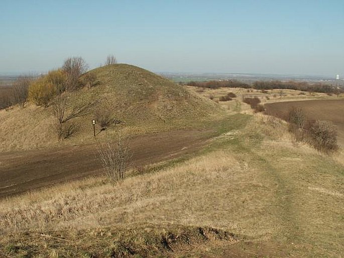 Kopeč – přírodní rezervace