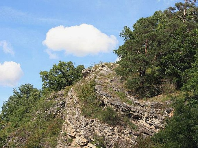 Český kras, Kulivá hora – přírodní rezervace