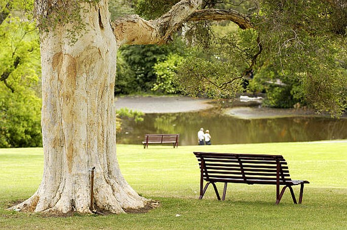 Royal Botanic Gardens Melbourne