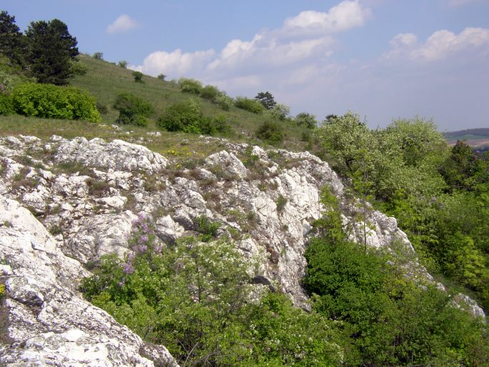 Mikulov