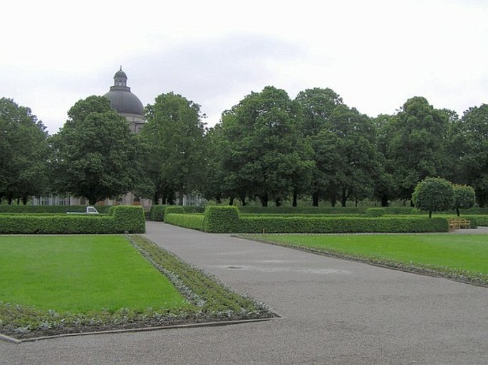 Hofgarten Mnichov