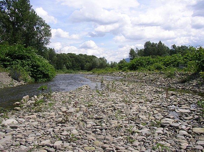 Beskydské podhůří, Skalická Morávka