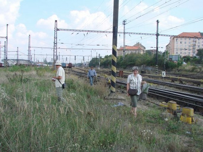 Květena pražských nádraží: Soupis rostlin železničních nádraží Prahy