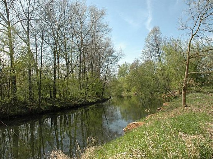 Pardubické Polabí, Nemošická stráň - přírodní památka