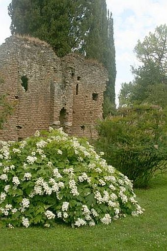 Giardini di Ninfa