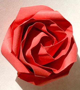 Malá růže