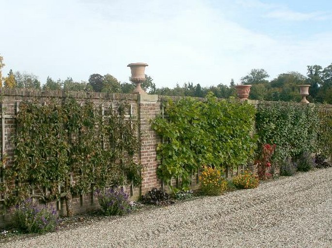 Paleis Het Loo