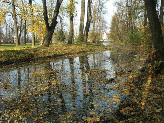 Pardubické Polabí, Chrudim, Ptačí ostrovy - přírodní památka