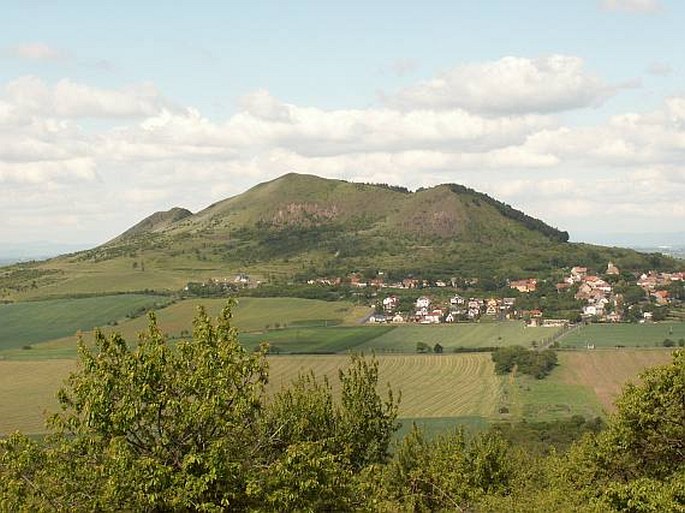 Lounské středohoří, Raná - národní přírodní rezervace