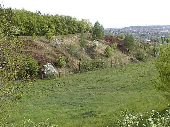 Praha, Drahaň-Troja: Salabka – přírodní památka