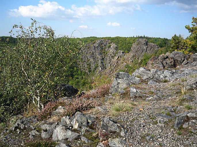 Praha, Divoká Šárka – přírodní rezervace