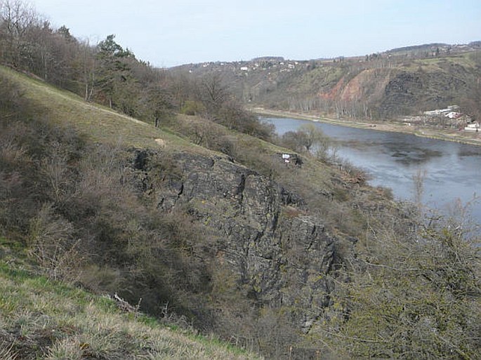 Dolní Povltaví, Praha, Sedlecké skály – přírodní památka