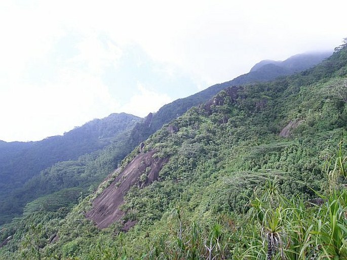 Mahé: NP Morne Seychellois, glacis nad osadou Sans-souci