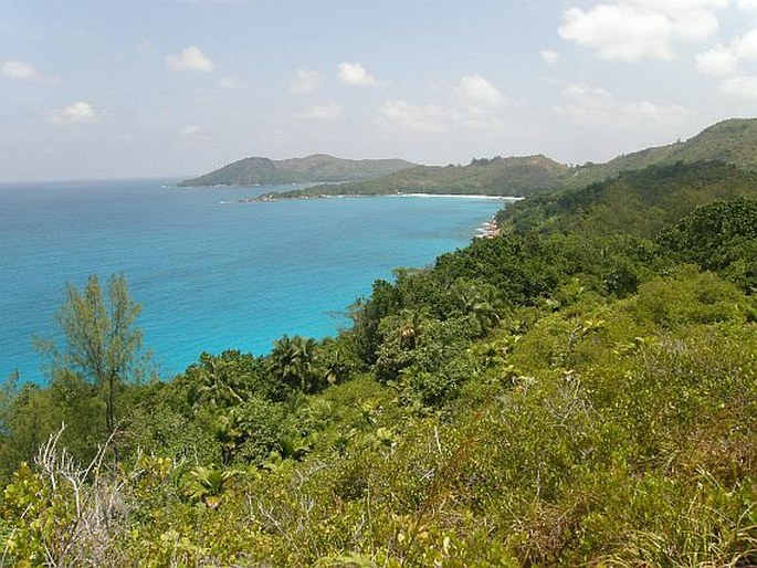 Seychelské ostrovy a jejich květena