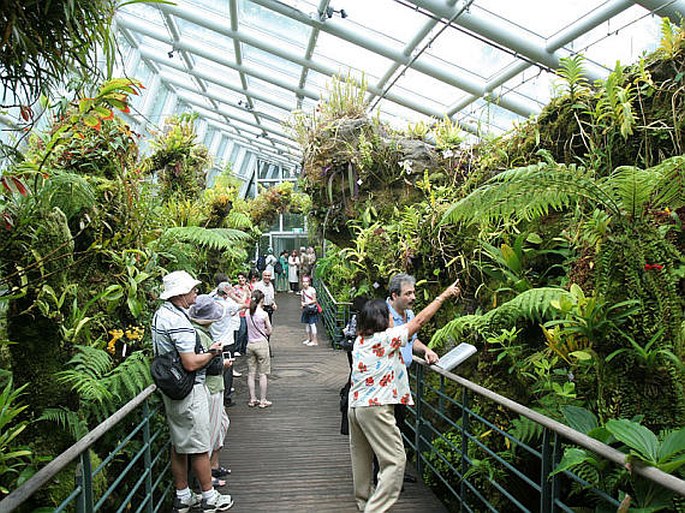 Singapore Botanic Gardens