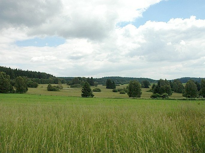 Žďárské vrchy, Suché kopce – přírodní památka