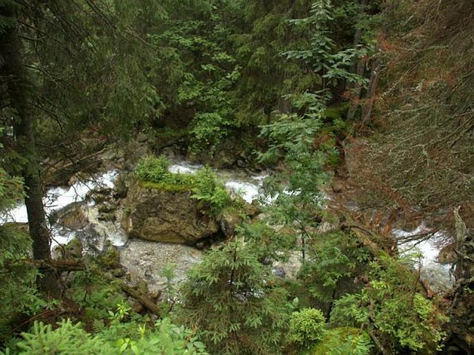 Tatry