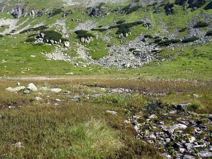 Tatry