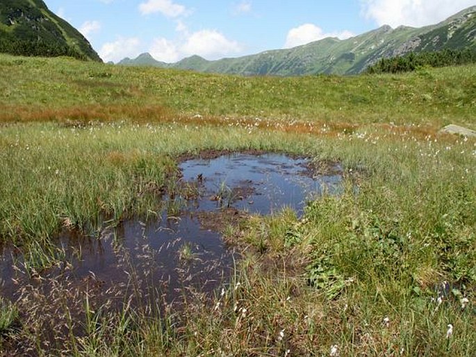 Tatry