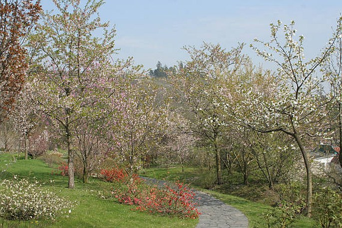 Botanická zahrada hlavního města Prahy