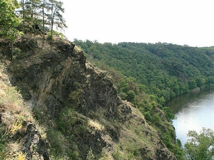 Větrušické rokle