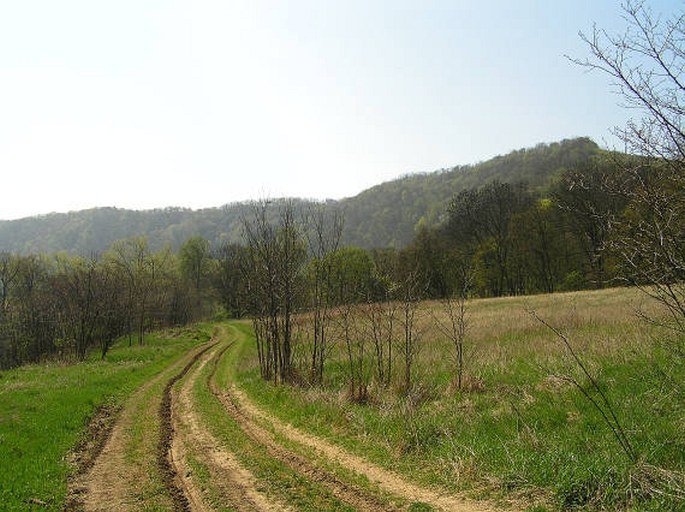 Český kras, Voškov – přírodní rezervace