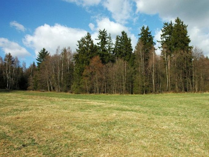 Železné hory, Vršovská olšina - přírodní památka