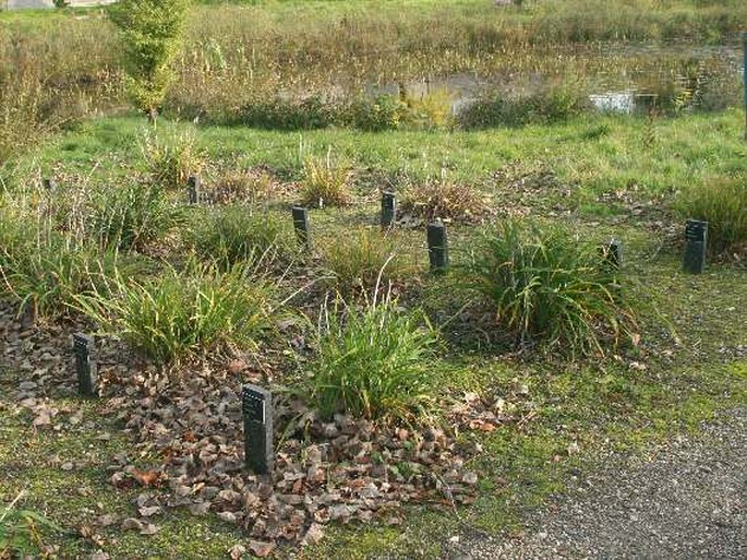 Botanische Tuinen van Wageningen University & Research Centre