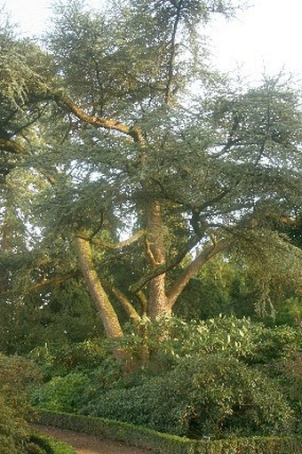 Botanische Tuinen van Wageningen University & Research Centre