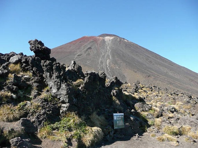 Nový Zéland, Mt. Ngaurugoe v NP Tongariro